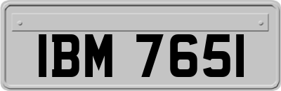 IBM7651