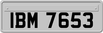 IBM7653