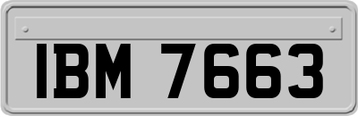 IBM7663