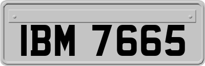 IBM7665