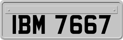 IBM7667