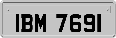 IBM7691