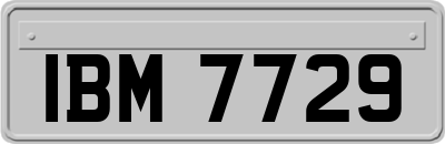 IBM7729