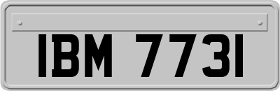 IBM7731