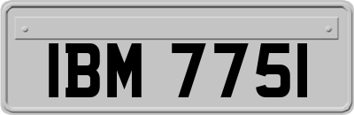 IBM7751