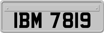 IBM7819