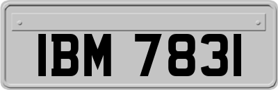 IBM7831