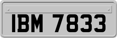 IBM7833