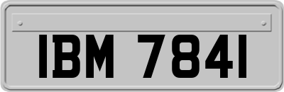 IBM7841