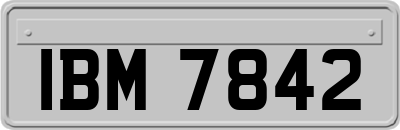 IBM7842