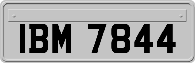 IBM7844