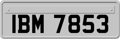 IBM7853