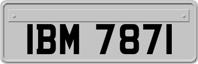 IBM7871