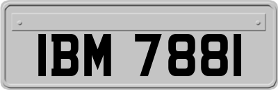 IBM7881