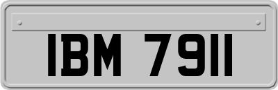 IBM7911