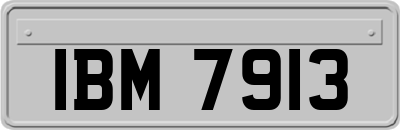 IBM7913