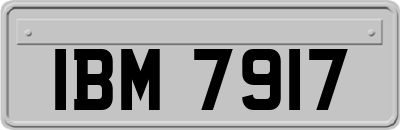 IBM7917