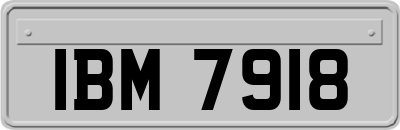 IBM7918