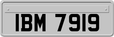 IBM7919