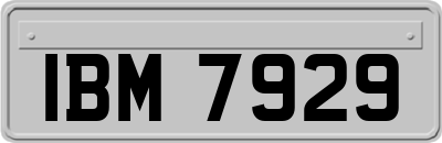 IBM7929