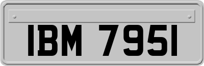 IBM7951