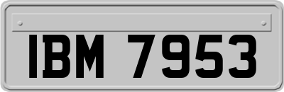 IBM7953