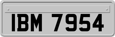 IBM7954