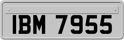 IBM7955