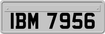 IBM7956