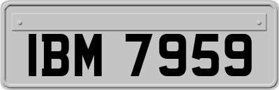 IBM7959