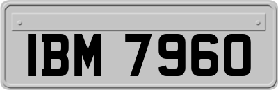 IBM7960