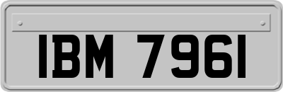 IBM7961