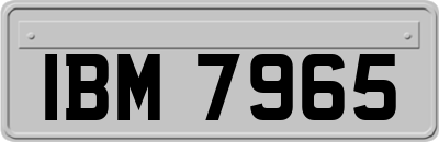 IBM7965