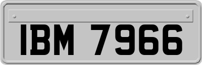 IBM7966