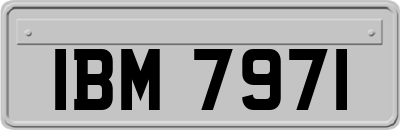 IBM7971