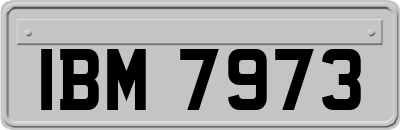 IBM7973