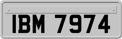 IBM7974