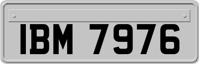 IBM7976