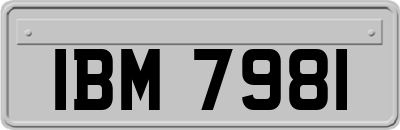 IBM7981