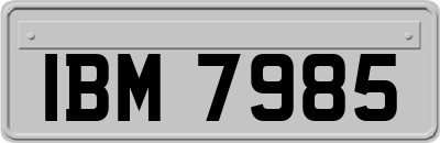 IBM7985