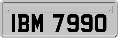 IBM7990