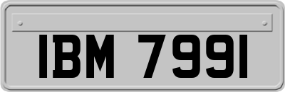 IBM7991