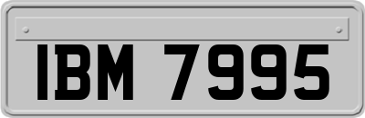 IBM7995