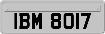 IBM8017