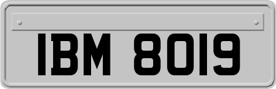 IBM8019