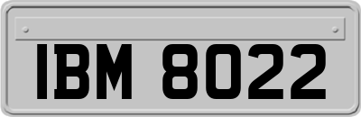 IBM8022