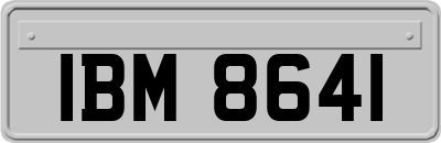 IBM8641