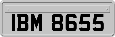 IBM8655