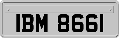 IBM8661