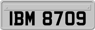 IBM8709